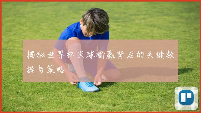 揭秘世界杯买球输赢背后的关键数据与策略