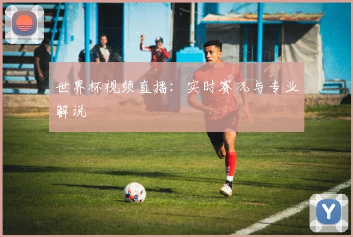 世界杯视频直播：实时赛况与专业解说