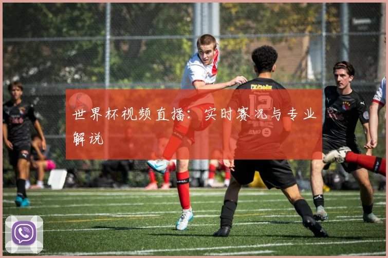 世界杯视频直播：实时赛况与专业解说