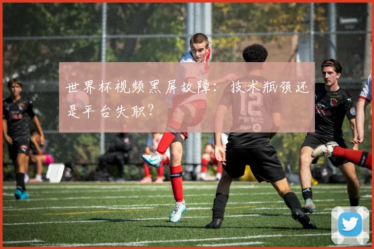 世界杯视频黑屏故障：技术瓶颈还是平台失职？