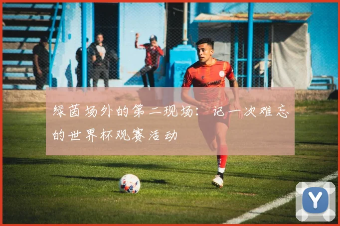绿茵场外的第二现场：记一次难忘的世界杯观赛活动