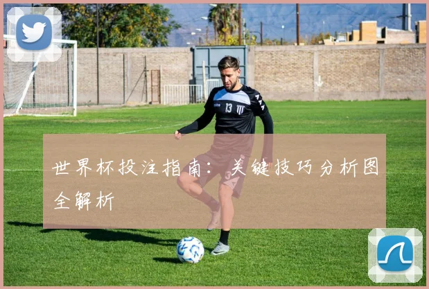 世界杯投注指南：关键技巧分析图全解析