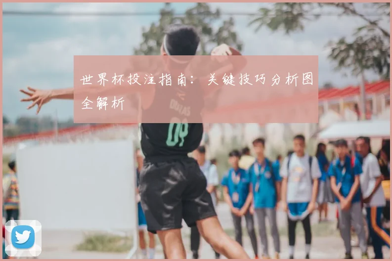 世界杯投注指南：关键技巧分析图全解析