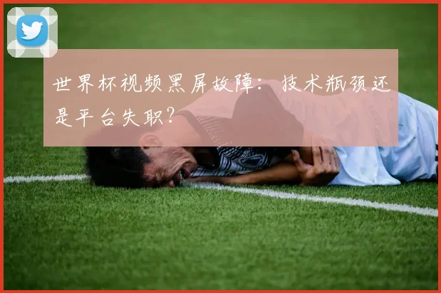 世界杯视频黑屏故障：技术瓶颈还是平台失职？