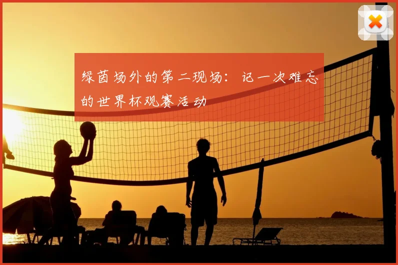 绿茵场外的第二现场：记一次难忘的世界杯观赛活动