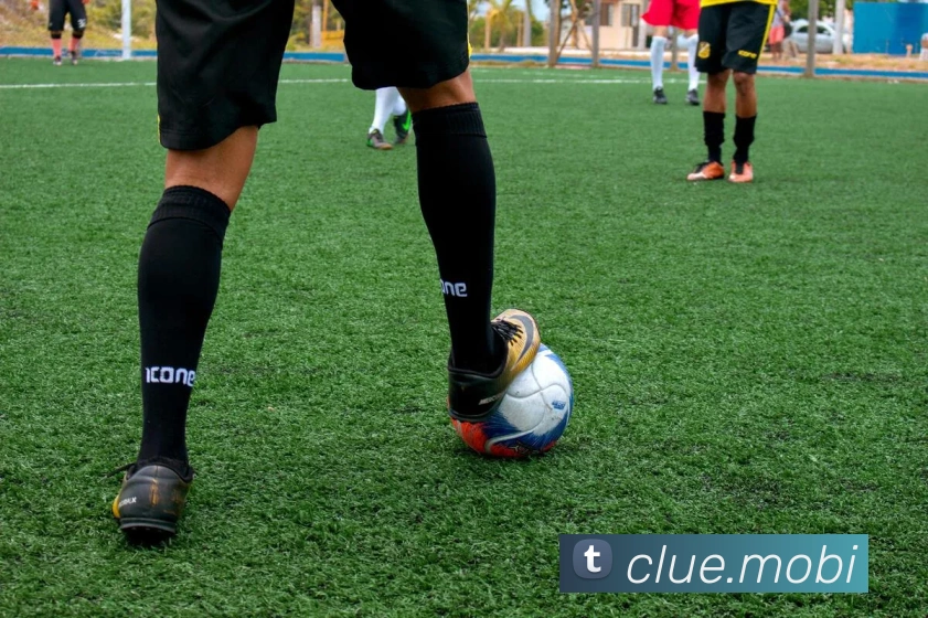 云开在线登录服务体系